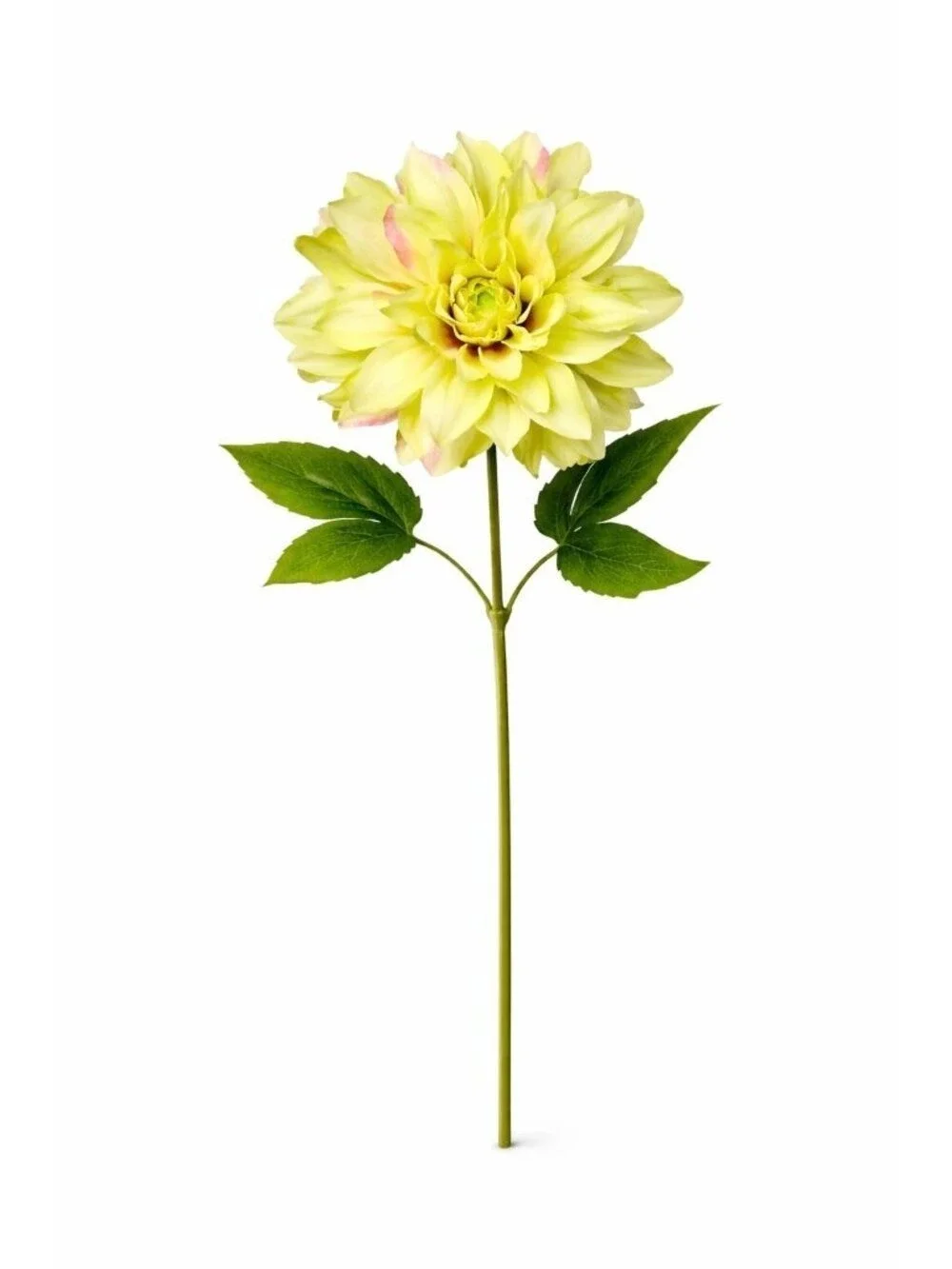 Green Dahlia Stem Artificial Flower 24 Inch 5 Inch Bloom Light Green